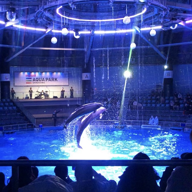 2024年3月号　会報『マンスリーエルパVol.250』掲載しました